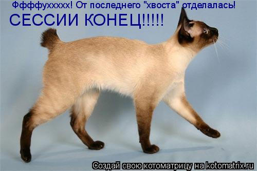 Ффффуххххх! От последнего "хвоста" отделалась! СЕССИИ КОНЕЦ!!!!!... Котоматрица: Ффффуххххх! От последнего "хвоста" отделалась! СЕССИИ КОНЕЦ!!!!!