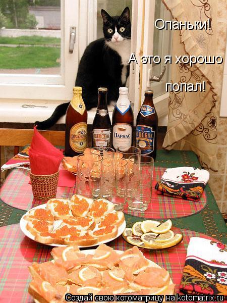 Опаньки! А это я хорошо попал!... Котоматрица: Опаньки! А это я хорошо попал!