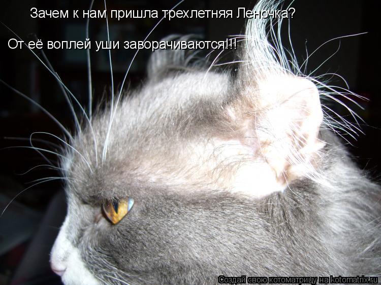 Зачем к нам пришла трехлетняя Леночка? От её воплей уши заворачиваются!!!... Котоматрица: Зачем к нам пришла трехлетняя Леночка? От её воплей уши заворачиваются!!!