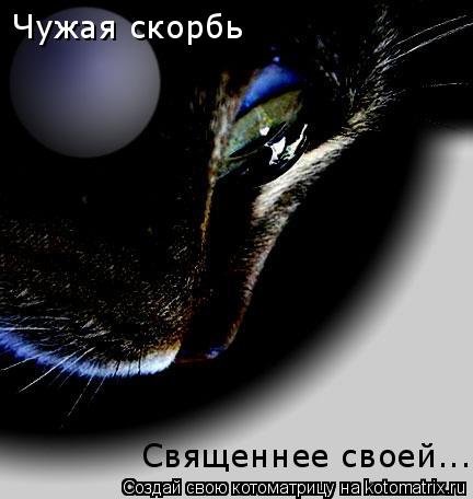Чужая скорбь Священнее своей...... Котоматрица: Чужая скорбь Священнее своей...