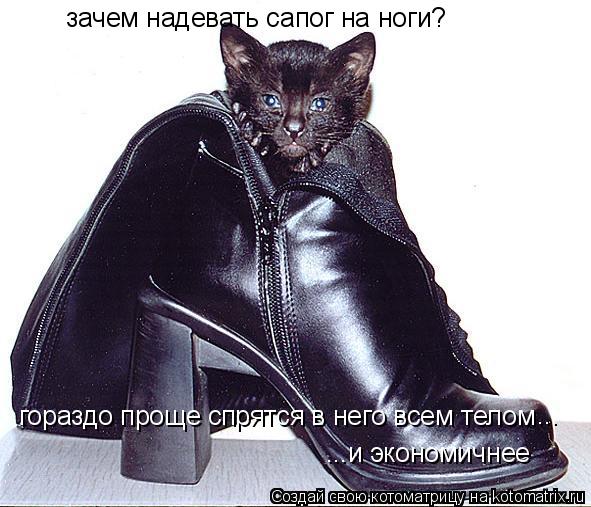 Котоматрица: зачем надевать сапог на ноги? гораздо проще спрятся в него всем телом ...и экономичнее ...