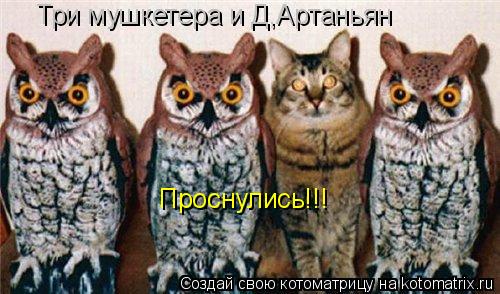 Котоматрица: Три мушкетера и Д,Артаньян Проснулись!!!