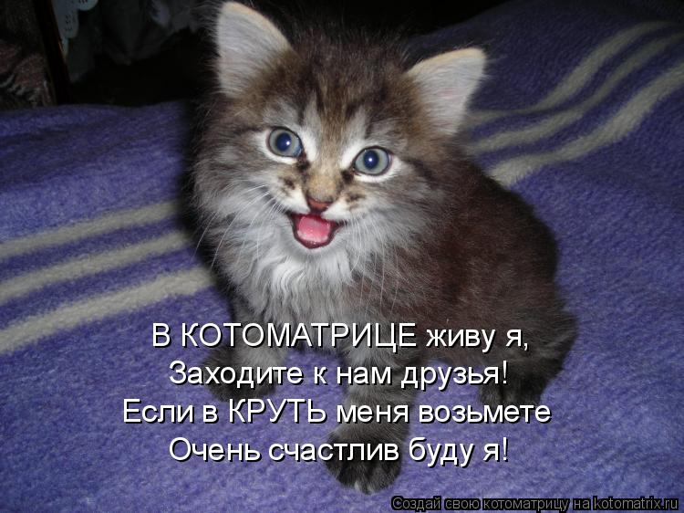 В КОТОМАТРИЦЕ живу я, Заходите к нам друзья! Если в КРУТЬ меня возьмете Очень счастлив буду я!... Котоматрица: В КОТОМАТРИЦЕ живу я, Заходите к нам друзья! Если в КРУТЬ меня возьмете Очень счастлив буду я!