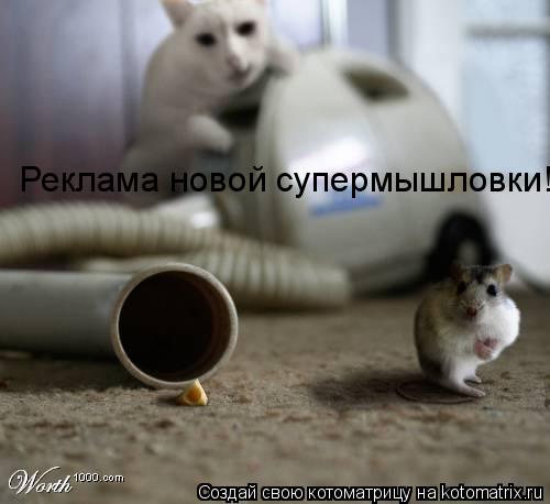 Котоматрица: Реклама новой супермышловки!