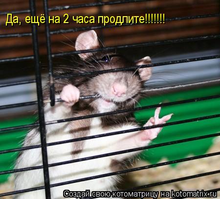 Да, ещё на 2 часа продлите!!!!!!!... Котоматрица: Да, ещё на 2 часа продлите!!!!!!!