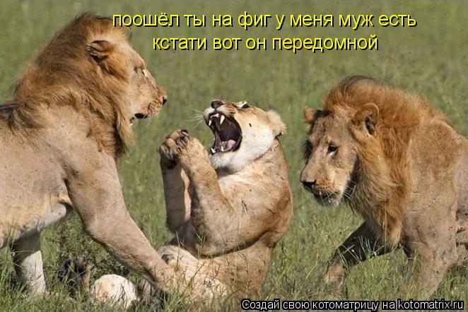 поошёл ты на фиг у меня муж есть кстати вот он передомной... Котоматрица: поошёл ты на фиг у меня муж есть кстати вот он передомной