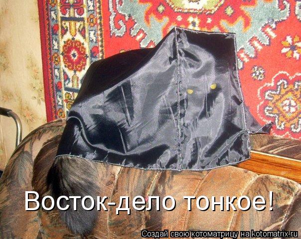 Восток-дело тонкое!... Котоматрица: Восток-дело тонкое!