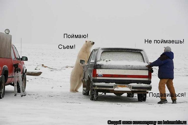 Поймаю! Не поймаешь! Съем! Подавишься!... Котоматрица: Поймаю! Не поймаешь! Съем! Подавишься!