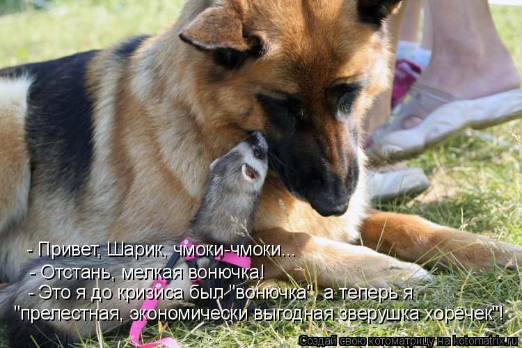- Привет, Шарик, чмоки-чмоки... - Отстань, мелкая вонючка! - Это я до кризиса был "вонючка", а теперь... Котоматрица: - Привет, Шарик, чмоки-чмоки... - Отстань, мелкая вонючка! - Это я до кризиса был "вонючка", а теперь я "прелестная, экономически выгодная зверуш