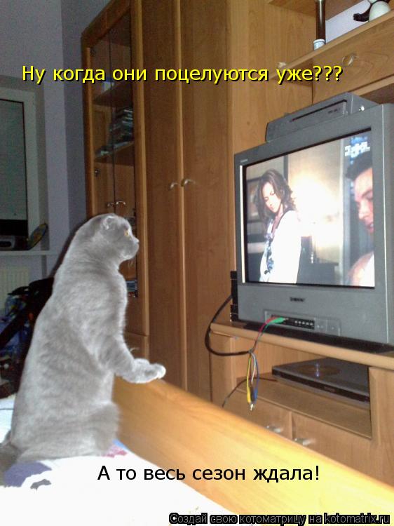 Ну когда они поцелуются уже??? А то весь сезон ждала!... Котоматрица: Ну когда они поцелуются уже??? А то весь сезон ждала!