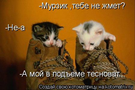 -Не-а -Мурзик ,тебе не жмет? -А мой в подъеме тесноват...... Котоматрица: -Не-а -Мурзик ,тебе не жмет? -А мой в подъеме тесноват...
