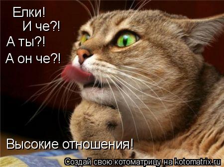 Елки! И че?! А он че?! А ты?! Высокие отношения!... Котоматрица: Елки! И че?! А он че?! А ты?! Высокие отношения!