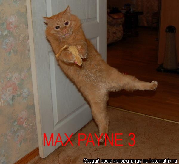 Котоматрица: MAX PAYNE 3