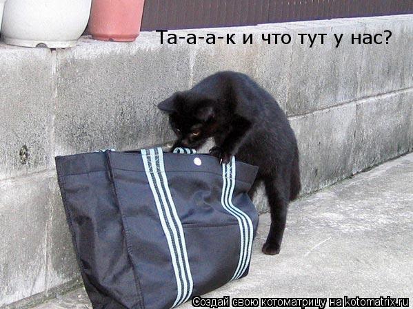 Котоматрица: Та-а-а-к и что тут у нас?