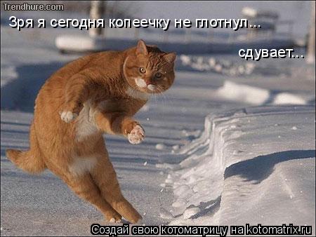 Котоматрица: Зря я сегодня копеечку не глотнул... сдувает...