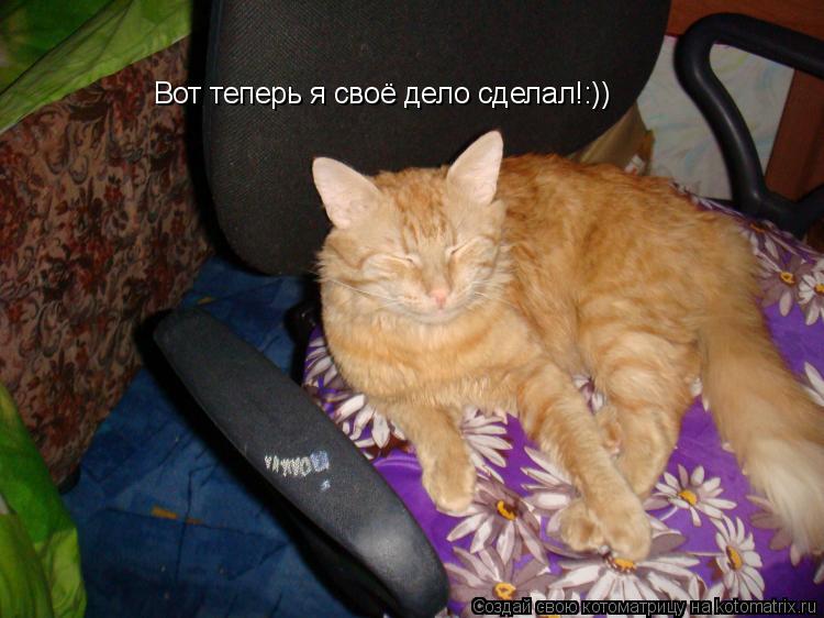 Котоматрица: Вот теперь я своё дело сделал!:))
