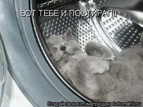 ВОТ ТЕБЕ И ПОСТИРАЛ!!... Котоматрица: ВОТ ТЕБЕ И ПОСТИРАЛ!!