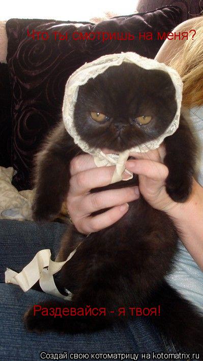 Что ты смотришь на меня? Раздевайся - я твоя!... Котоматрица: Что ты смотришь на меня? Раздевайся - я твоя!