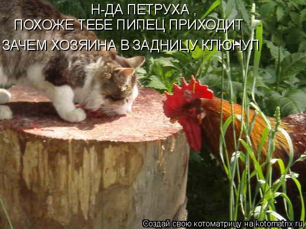 Котоматрица: Н-ДА ПЕТРУХА , ПОХОЖЕ ТЕБЕ ПИПЕЦ ПРИХОДИТ ЗАЧЕМ ХОЗЯИНА В ЗАДНИЦУ КЛЮНУЛ
