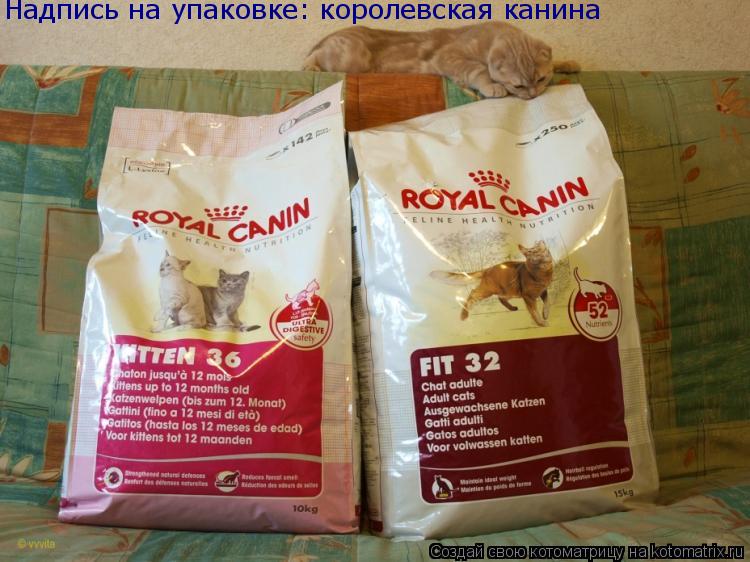 Надпись на упаковке: королевская канина... Котоматрица: Надпись на упаковке: королевская канина