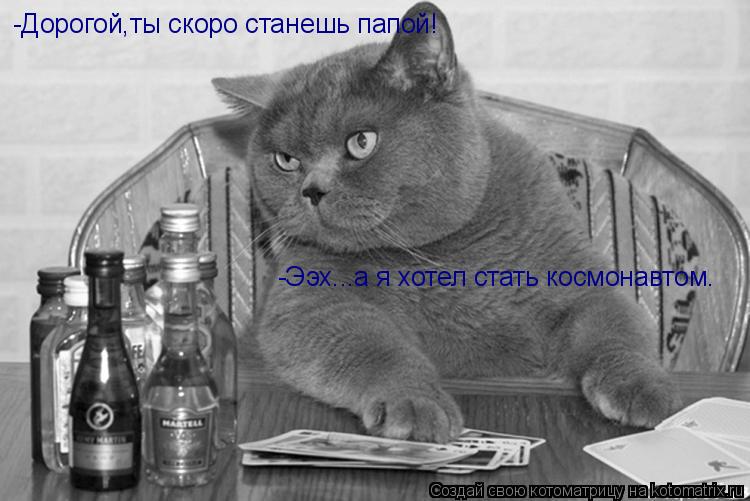 Котоматрица: -Дорогой,ты скоро станешь папой! -Ээх...а я хотел стать космонавтом.