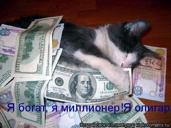 Я богат, я миллионер! Абрамович мне и в подметки не годится! У меня такая постель!!! Я богат, я милл... Котоматрица: Я богат, я миллионер! Абрамович мне и в подметки не годится! У меня такая постель!!! Я богат, я миллионер!Я олигарх!!!
