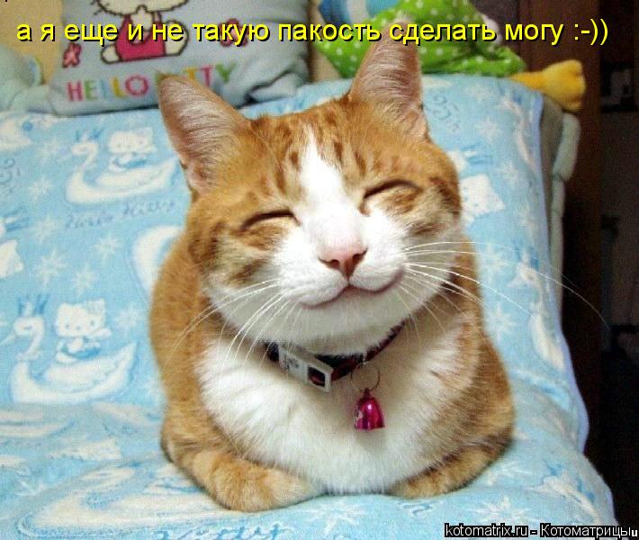 а я еще и не такую пакость сделать могу :-))... Котоматрица: а я еще и не такую пакость сделать могу :-))