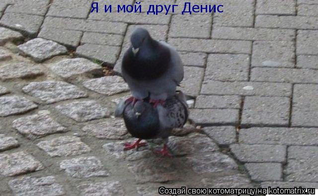 Котоматрица: Я и мой друг Денис