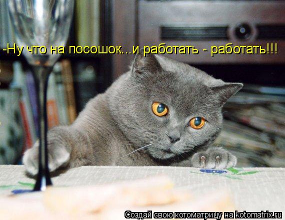 -Ну что на посошок...и работать - работать!!!... Котоматрица: -Ну что на посошок...и работать - работать!!!