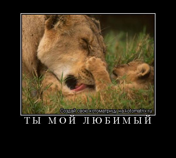 Т Ы М О Й Л Ю Б И М Ы Й ... Котоматрица: Т Ы М О Й Л Ю Б И М Ы Й