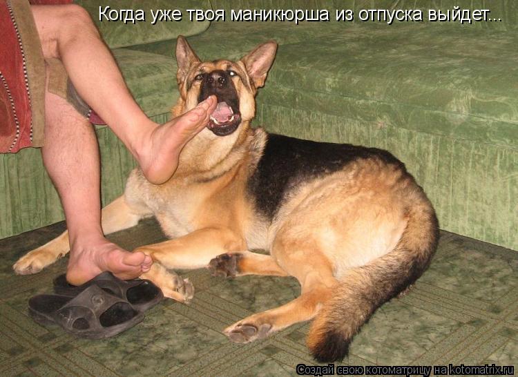 Когда уже твоя маникюрша из отпуска выйдет...... Котоматрица: Когда уже твоя маникюрша из отпуска выйдет...