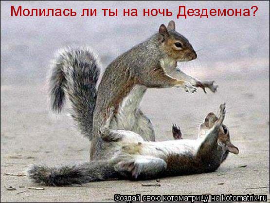 Котоматрица: Молилась ли ты на ночь Дездемона?