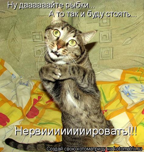 Котоматрица: Ну даааааайте рыбки... А то так и буду стоять... Нервиииииииировать!!!