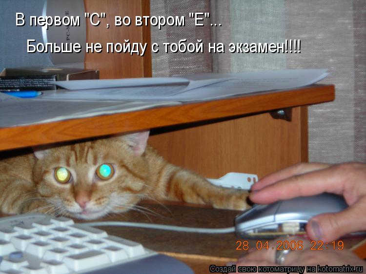 В первом "С", во втором "Е"... Больше не пойду с тобой на экзамен!!!!... Котоматрица: В первом "С", во втором "Е"... Больше не пойду с тобой на экзамен!!!!