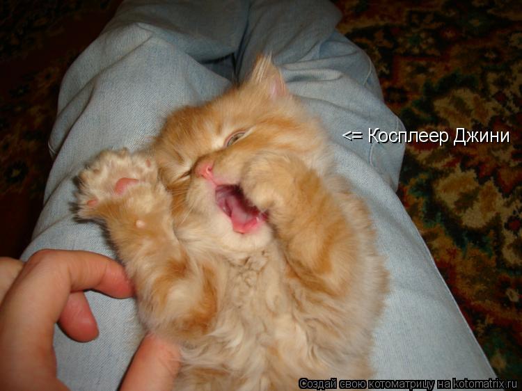 <= Косплеер Джини... Котоматрица: <= Косплеер Джини