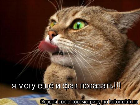 Котоматрица: я могу ещё и фак показать!!!