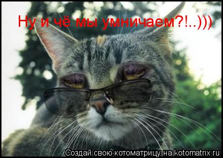 Котоматрица: Ну и чё мы умничаем?!..)))