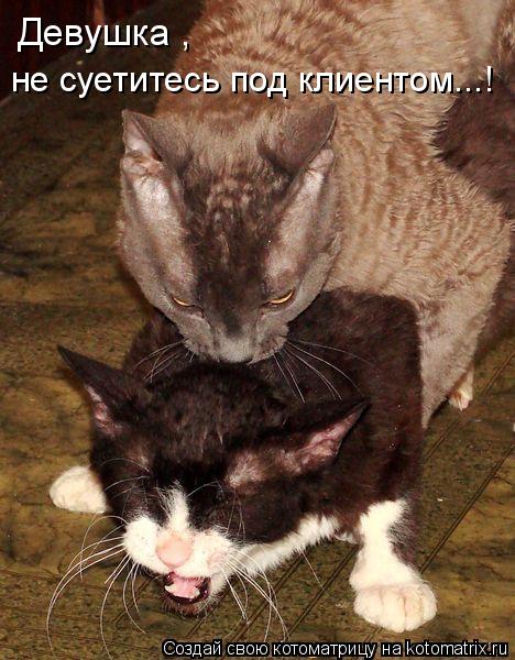 Котоматрица: Девушкa , не суетитесь под клиентом...!