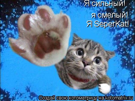Котоматрица: Я сильный! я смелый! Я SeperKat!