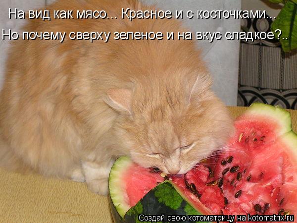 На вид как мясо... Красное и с косточками... Но почему сверху зеленое и на вкус сладкое?..... Котоматрица: На вид как мясо... Красное и с косточками... Но почему сверху зеленое и на вкус сладкое?..