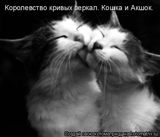 Королевство кривых зеркал. Кошка и Акшок.... Котоматрица: Королевство кривых зеркал. Кошка и Акшок.