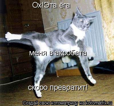 Ох!Эта ёга меня в акробата скоро превратит!... Котоматрица: Ох!Эта ёга меня в акробата скоро превратит!