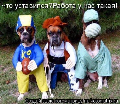 Котоматрица: Что уставился?Работа у нас такая!