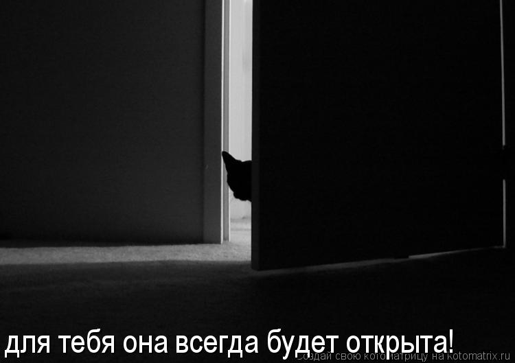 для тебя она всегда будет открыта!... Котоматрица: для тебя она всегда будет открыта!