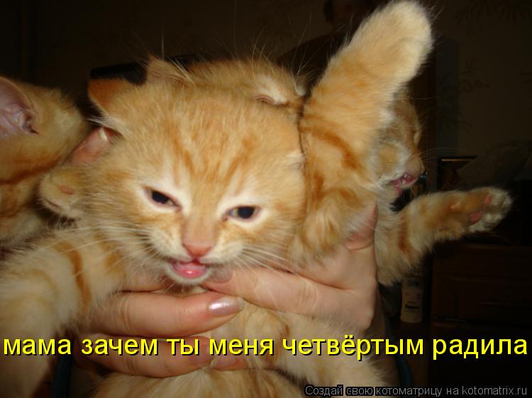 Котоматрица: мама зачем ты меня четвёртым радила