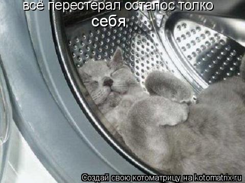 всё перестерал осталос толко себя... Котоматрица: всё перестерал осталос толко себя