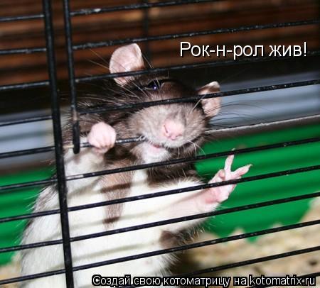 Рок-н-рол жив!... Котоматрица: Рок-н-рол жив!