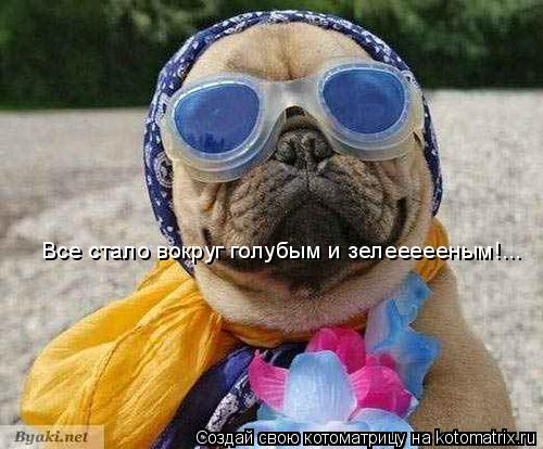 Котоматрица: Все стало вокруг голубым и зелеееееным!...