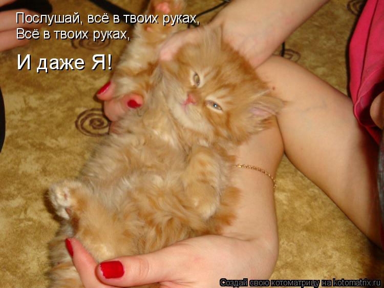 Котоматрица: Послушай, всё в твоих руках, Всё в твоих руках, И даже Я!