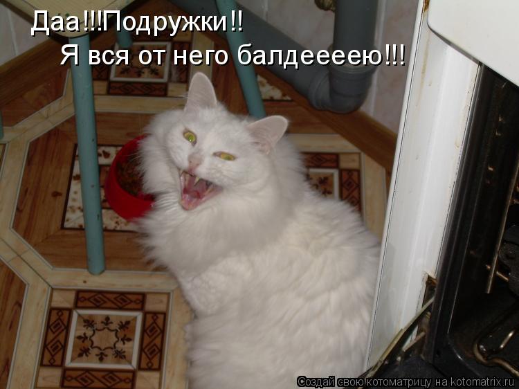 Котоматрица: Даа!!!Подружки!! Я вся от него балдеееею!!!
